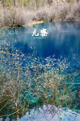 寒潮强势来袭,局地大暴雪,湖南贵州开启雨雪冰冻模式
